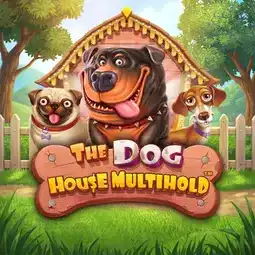 The Dog House Multihold game at PlayOJO Casino for United Kingdom players